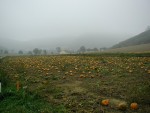 Foto 09